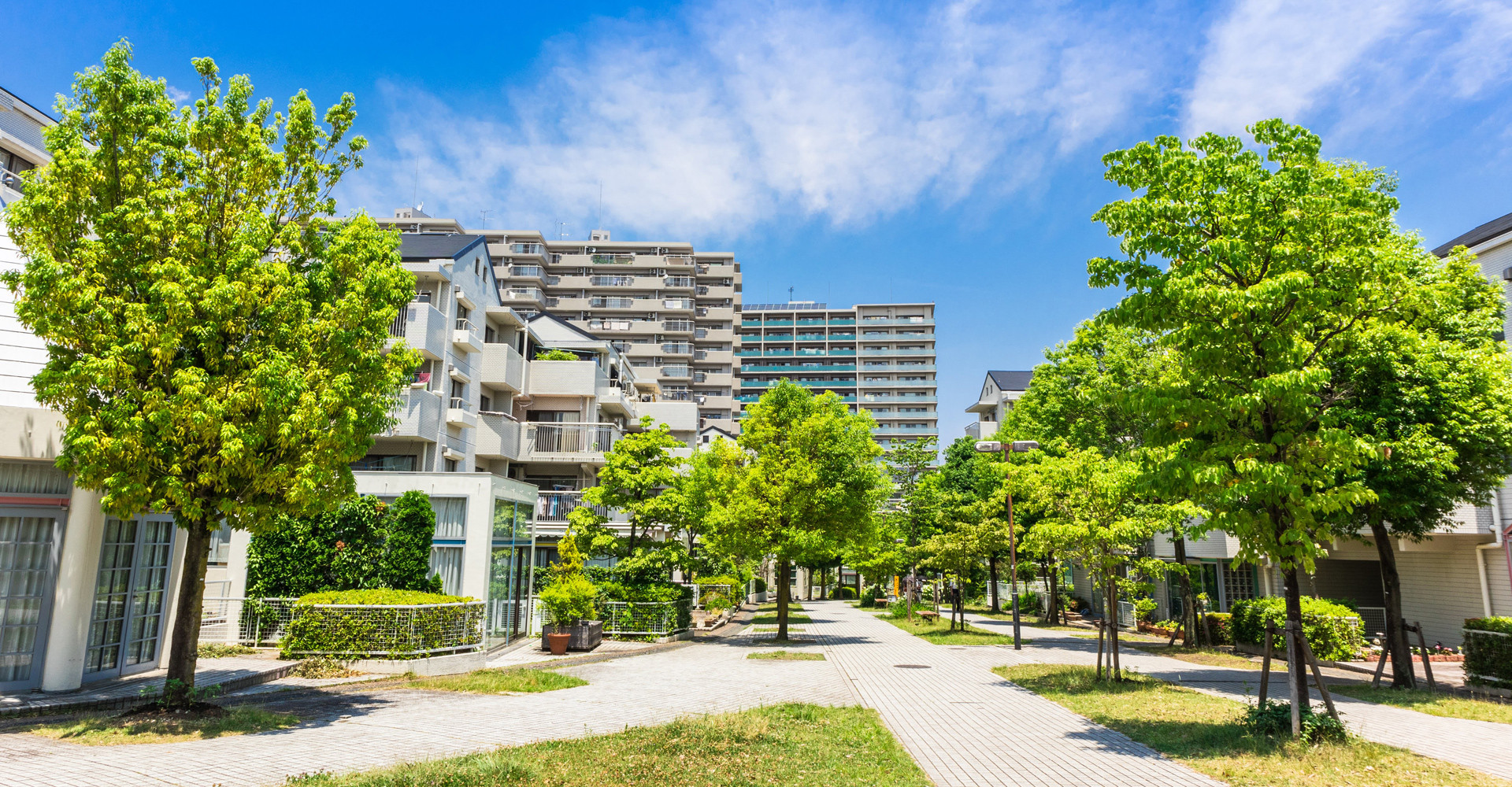 プロジェクト紹介を行います